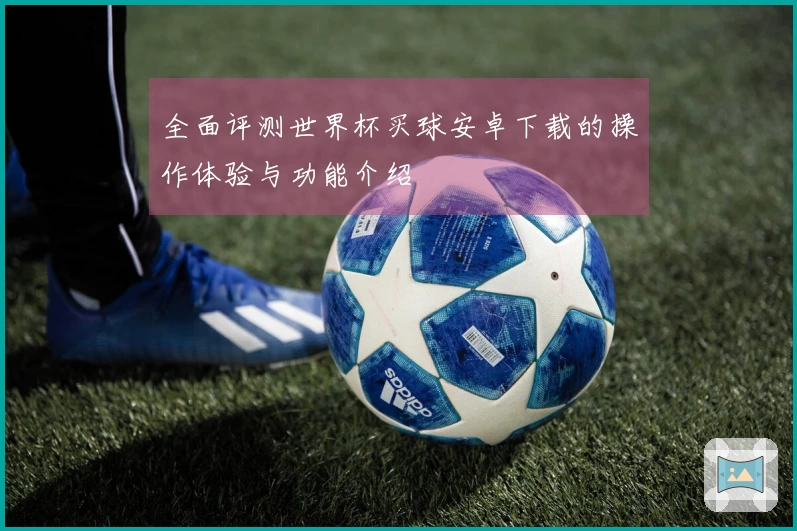 全面评测世界杯买球安卓下载的操作体验与功能介绍