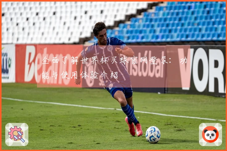 全面了解世界杯买球官网登录：功能与使用体验介绍