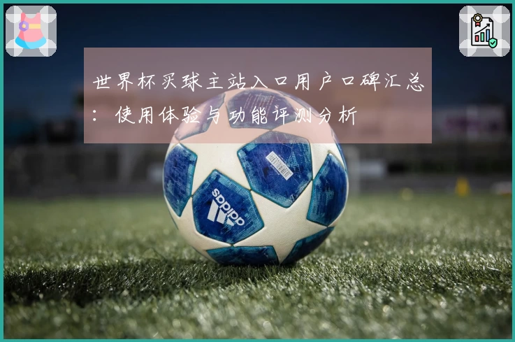世界杯买球主站入口用户口碑汇总：使用体验与功能评测分析